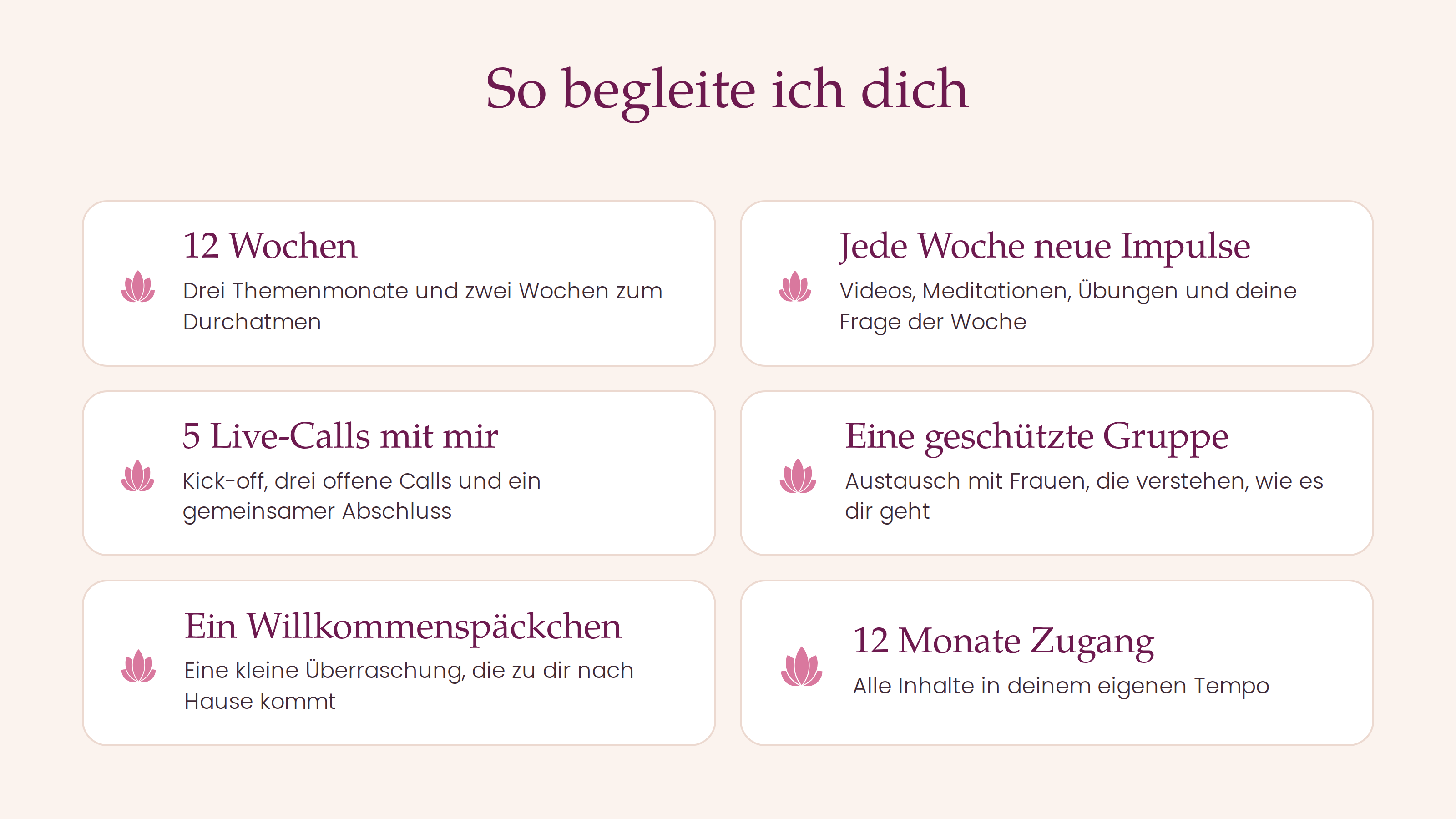 LOTUS-Homepage-04-Zusammenarbeit.png