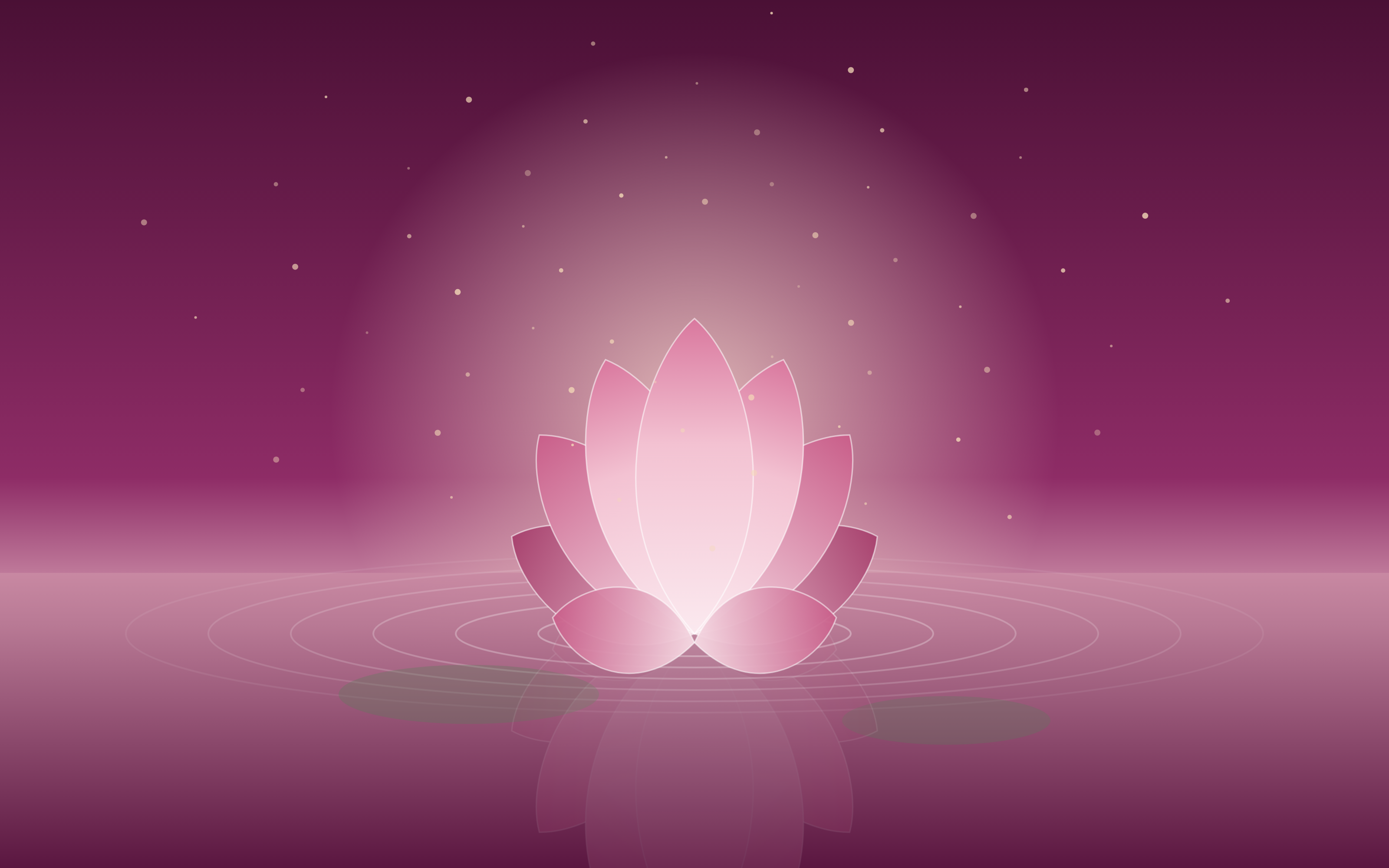 LOTUS-Web-04c-Lotusbluete-Querformat.png