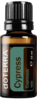 Cypress/ Zypresse