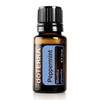Pfefferminze/ Peppermint