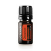 Zimt/ Cinnamon