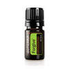Forgive 5 ml - die Erneuernde Mischung